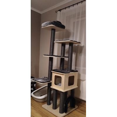 Szuper