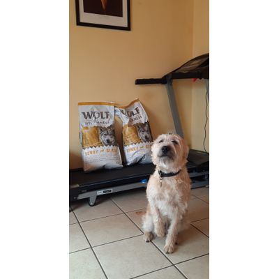 FIADH