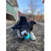 Best ball so far for my boy