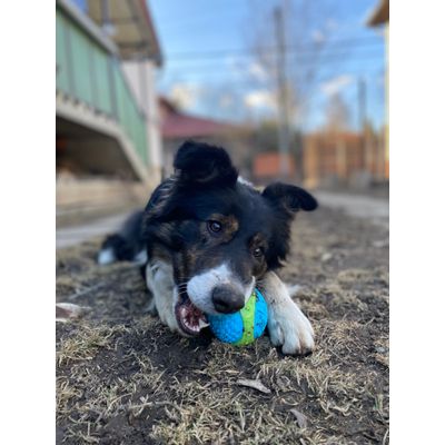 Best ball so far for my boy