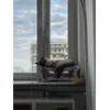 uwielbia spac na drapaku