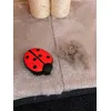 Brosse coccinelle 