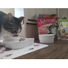 Pakiet mieszany Schmusy Ragout w sosie