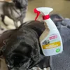 Urine Remover mit meinen Hunden