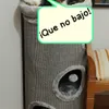 Reina de la torre