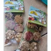 Biscotti per criceti