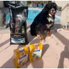 PURINA PRO PLAN pour notre Nuggets