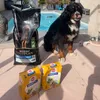PURINA PRO PLAN pour notre Nuggets