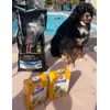 PURINA PRO PLAN pour notre Nuggets