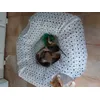 Penny 
