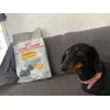 Royal Canin 