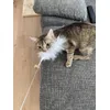 Beute gefangen 