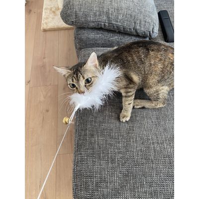 Beute gefangen
