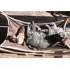 Sunbath