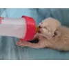 Muy buena la leche