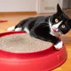 Tolles Katzenspielzeug