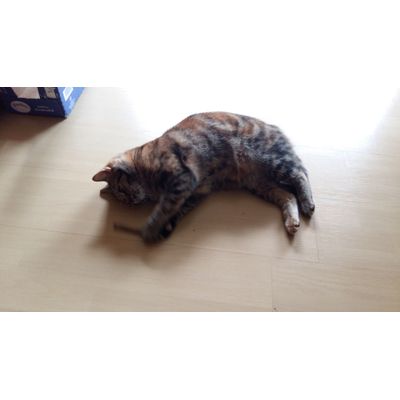 Isa spielt