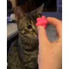 Noppboll