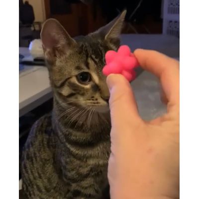 Noppboll