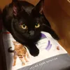 My precious food