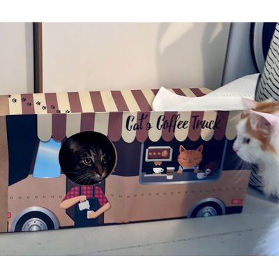 Cat Shop