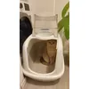 New toilett recommend 