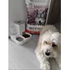 Lucica adora acest sortiment cu rata 