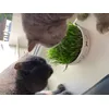 Unsere Katzen lieben es 