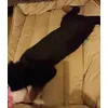 Roki