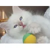 Fiby