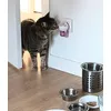 LUCA y Feliway