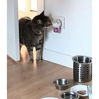 LUCA y Feliway