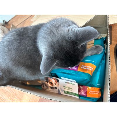 Purina urinary health