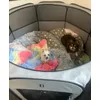 Schoenes Kuschelgehege
