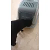 Lo adoramos 