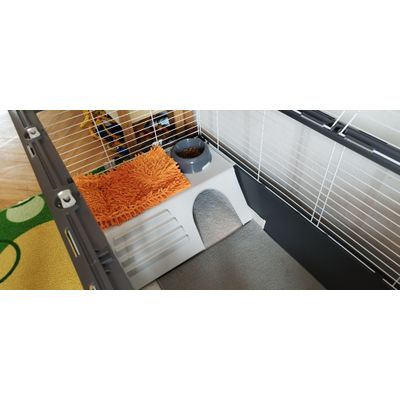 Velky prostor pro velkou rasu kralicka
