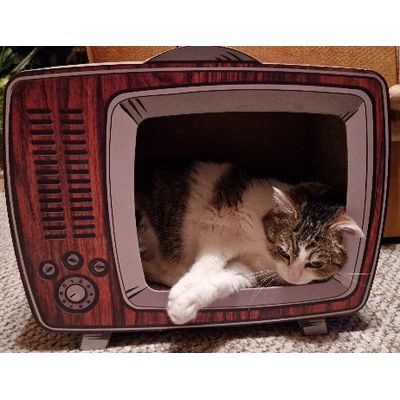Telly