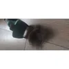 Furminator