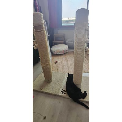 Replacement arrived