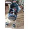 Prinzessin im Buggy