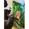 Zelda is picky but quickly approved