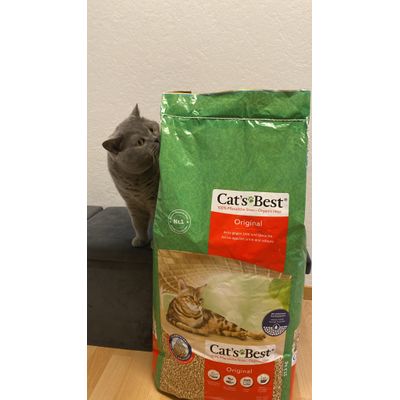 Unser Boxi mag das Katzenstreu