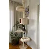 Cat tree