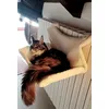 New favourite napping area
