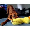 Kaya met Ducky