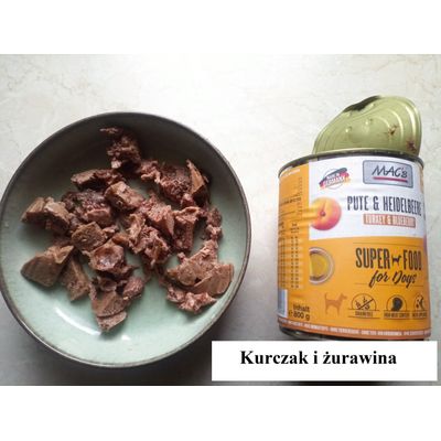 Indyk i borowka