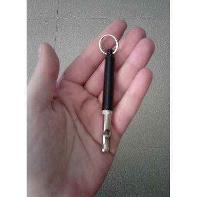Este es el silbato en mi mano