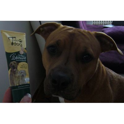 Tubi Dog