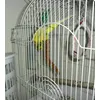 Mijito