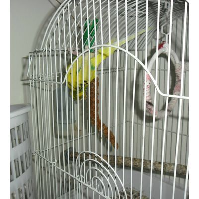 Mijito